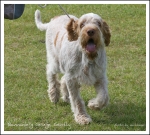 Filename=B-GeorgeGently.jpg
Filesize=504KiB
Dimensions=938x850
Date added=May 26, 2014 B-GeorgeGently.jpg