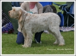 Filename=F-BlondeAmbition-1.jpg
Filesize=570KiB
Dimensions=1138x850
Date added=May 26, 2014 F-BlondeAmbition-1.jpg