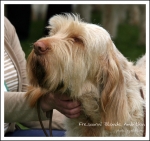 Filename=F-BlondeAmbition.jpg
Filesize=320KiB
Dimensions=903x850
Date added=May 26, 2014 F-BlondeAmbition.jpg