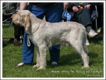 Filename=Hamac-NoroyDuPlessy-1.jpg
Filesize=557KiB
Dimensions=1124x850
Date added=May 26, 2014 Hamac-NoroyDuPlessy-1.jpg
