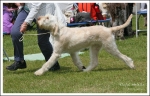 Filename=R-Abrielle-3.jpg
Filesize=660KiB
Dimensions=1317x850
Date added=May 26, 2014 R-Abrielle-3.jpg