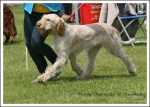 Filename=R-Cherriecola.jpg
Filesize=595KiB
Dimensions=1186x850
Date added=May 26, 2014 R-Cherriecola.jpg