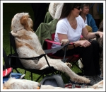 Filename=Ringside-03.jpg
Filesize=343KiB
Dimensions=978x850
Date added=May 26, 2014 Ringside-03.jpg