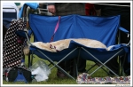 Filename=Ringside-09.jpg
Filesize=493KiB
Dimensions=1300x850
Date added=May 26, 2014 Ringside-09.jpg