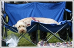 Filename=Ringside-11.jpg
Filesize=487KiB
Dimensions=1280x850
Date added=May 26, 2014 Ringside-11.jpg