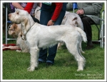 Filename=S-Beccaccino-1.jpg
Filesize=551KiB
Dimensions=1095x850
Date added=May 26, 2014 S-Beccaccino-1.jpg