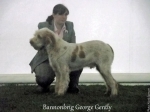 B-GeorgeGently.jpg