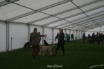 Filename=BestOfBreed.jpg
Filesize=103KiB
Dimensions=1000x667
Date added=May 26, 2014 BestOfBreed.jpg