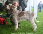 Filename=G-Anteros.jpg
Filesize=136KiB
Dimensions=750x594
Date added=May 26, 2014 G-Anteros.jpg
