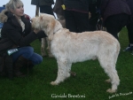 Filename=G-Brentoni.jpg
Filesize=100KiB
Dimensions=750x565
Date added=May 26, 2014 G-Brentoni.jpg