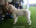 Filename=G-Roccamonfina.jpg
Filesize=128KiB
Dimensions=750x594
Date added=May 26, 2014 G-Roccamonfina.jpg