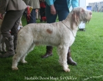 Filename=H-DevonMagic.jpg
Filesize=132KiB
Dimensions=750x594
Date added=May 26, 2014 H-DevonMagic.jpg