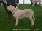 Filename=R-Casemira.jpg
Filesize=95KiB
Dimensions=750x562
Date added=May 26, 2014 R-Casemira.jpg