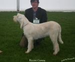 Filename=R-Cienna.jpg
Filesize=90KiB
Dimensions=750x621
Date added=May 26, 2014 R-Cienna.jpg