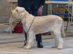 Filename=G-Amiata.JPG
Filesize=4079KiB
Dimensions=4000x3000
Date added=May 26, 2014 G-Amiata.JPG