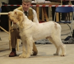 Dateiname=H-KirRoyale.jpg
Dateigröße=829KB
Abmessungen: 2200x1920
hinzugefügt am: 26. Mai 2014 H-KirRoyale.jpg