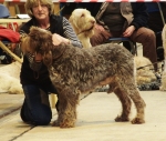 Dateiname=J-Phoebe.jpg
Dateigröße=944KB
Abmessungen: 2152x1832
hinzugefügt am: 26. Mai 2014 J-Phoebe.jpg