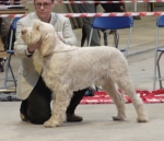 Filename=M-Enzo.jpg
Filesize=686KiB
Dimensions=2056x1776
Date added=May 26, 2014 M-Enzo.jpg