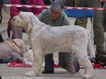 Filename=N-GotToBeThere.JPG
Filesize=3968KiB
Dimensions=4000x3000
Date added=May 26, 2014 N-GotToBeThere.JPG