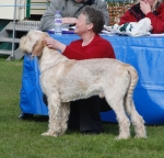 Filename=B-RudeRebel.jpg
Filesize=237KiB
Dimensions=700x675
Date added=May 26, 2014 B-RudeRebel.jpg