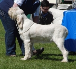 Filename=B-Streyga.jpg
Filesize=220KiB
Dimensions=700x631
Date added=May 26, 2014 B-Streyga.jpg