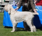 Filename=C-Cesario.jpg
Filesize=226KiB
Dimensions=700x602
Date added=May 26, 2014 C-Cesario.jpg