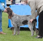 Filename=C-Chama.jpg
Filesize=236KiB
Dimensions=700x670
Date added=May 26, 2014 C-Chama.jpg