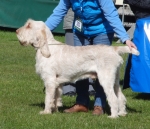 Filename=C-Chauki.jpg
Filesize=219KiB
Dimensions=700x604
Date added=May 26, 2014 C-Chauki.jpg