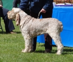 Dateiname=E-Ghilea.jpg
Dateigröße=242KB
Abmessungen: 700x597
hinzugefügt am: 26. Mai 2014 E-Ghilea.jpg