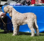 Filename=G-Jana.jpg
Filesize=236KiB
Dimensions=700x656
Date added=May 26, 2014 G-Jana.jpg