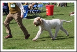 Filename=H KirRoyale-1.jpg
Filesize=501KiB
Dimensions=1066x733
Date added=May 26, 2014 H KirRoyale-1.jpg
