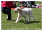 Filename=H OverAndUnder-1.jpg
Filesize=531KiB
Dimensions=1066x780
Date added=May 26, 2014 H OverAndUnder-1.jpg
