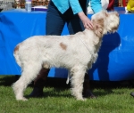 Filename=H-DevonMagic.jpg
Filesize=196KiB
Dimensions=700x595
Date added=May 26, 2014 H-DevonMagic.jpg