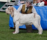 Filename=H-KirRoyale.jpg
Filesize=208KiB
Dimensions=700x602
Date added=May 26, 2014 H-KirRoyale.jpg
