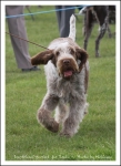 Filename=I Harriet-1.jpg
Filesize=330KiB
Dimensions=780x1066
Date added=May 26, 2014 I Harriet-1.jpg
