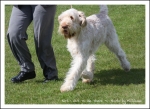 Nom du fichier=N GotToBeThere-1.jpg
Taille du fichier=495Ko
Dimensions : 1066x780
Ajouté le : 26 Mai 2014 N GotToBeThere-1.jpg