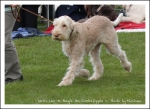 Filename=N LuvToBoogie-1.jpg
Filesize=398KiB
Dimensions=1066x780
Date added=May 26, 2014 N LuvToBoogie-1.jpg