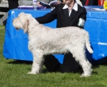 Filename=N-GotToBeThere.jpg
Filesize=200KiB
Dimensions=700x571
Date added=May 26, 2014 N-GotToBeThere.jpg