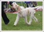 Filename=O DaintyBess-1.jpg
Filesize=441KiB
Dimensions=1066x780
Date added=May 26, 2014 O DaintyBess-1.jpg