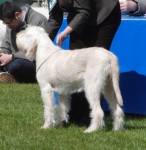 Filename=R-Abrielle.jpg
Filesize=206KiB
Dimensions=700x717
Date added=May 26, 2014 R-Abrielle.jpg