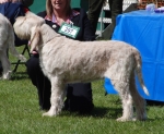 Filename=R-Casemira.jpg
Filesize=219KiB
Dimensions=700x578
Date added=May 26, 2014 R-Casemira.jpg