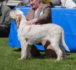Filename=R-FairDinkum.jpg
Filesize=220KiB
Dimensions=700x648
Date added=May 26, 2014 R-FairDinkum.jpg
