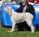 Filename=R-Kemelia.jpg
Filesize=216KiB
Dimensions=700x674
Date added=May 26, 2014 R-Kemelia.jpg