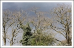 Dateiname=Sky-1.jpg
Dateigröße=612KB
Abmessungen: 1066x706
hinzugefügt am: 26. Mai 2014 Sky-1.jpg