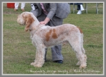 Filename=B GeorgeGently.jpg
Filesize=366KiB
Dimensions=900x657
Date added=May 26, 2014 B GeorgeGently.jpg