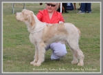 Filename=B RubenRude.jpg
Filesize=331KiB
Dimensions=900x657
Date added=May 26, 2014 B RubenRude.jpg