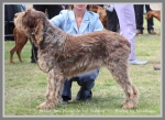 Filename=Bella-DelMongioie.jpg
Filesize=386KiB
Dimensions=900x657
Date added=May 26, 2014 Bella-DelMongioie.jpg