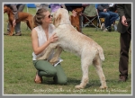 Filename=D Silver-2.jpg
Filesize=358KiB
Dimensions=900x657
Date added=May 26, 2014 D Silver-2.jpg