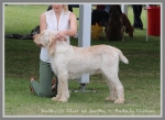 Filename=D Silver.jpg
Filesize=318KiB
Dimensions=900x657
Date added=May 26, 2014 D Silver.jpg