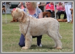 Filename=F BlondeAmbition.jpg
Filesize=349KiB
Dimensions=900x657
Date added=May 26, 2014 F BlondeAmbition.jpg